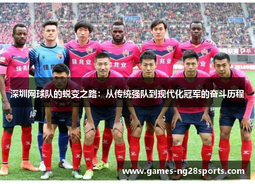 深圳网球队的蜕变之路：从传统强队到现代化冠军的奋斗历程